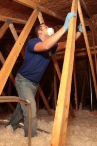 Bat guano inspection