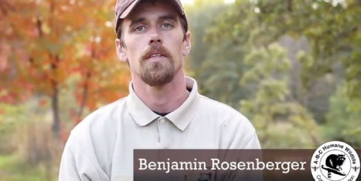 Bird Problems on Large Building Solved